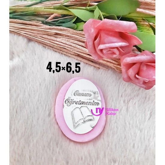 Öğretmen yazılı silikon kalıp