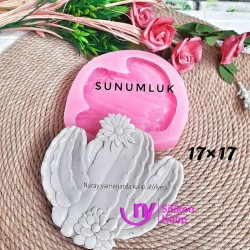 Kaktüs sunumluk